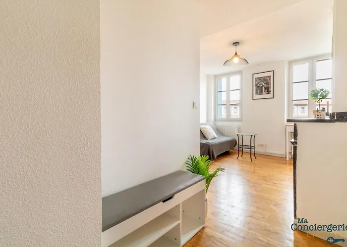 Parga 41 - 500 Metres Du Capitole - Hypercentre Tlse Daire