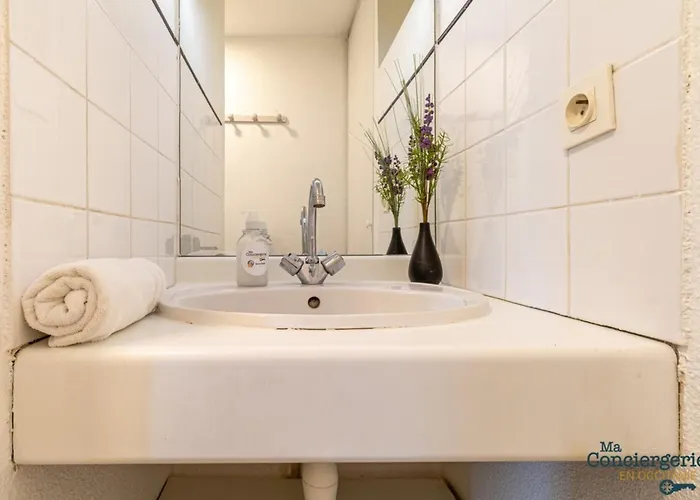 Daire Parga 41 - 500 Metres Du Capitole - Hypercentre Tlse Toulouse