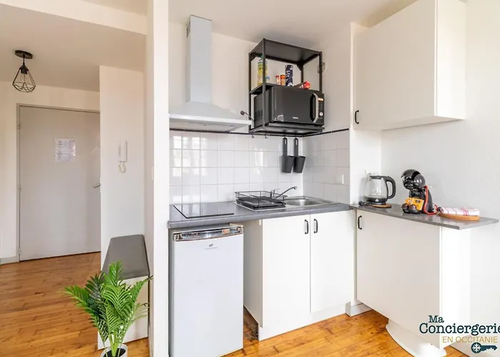 Parga 41 - 500 Metres Du Capitole - Hypercentre Tlse *