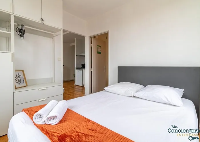 Parga 41 - 500 Metres Du Capitole - Hypercentre Tlse Toulouse