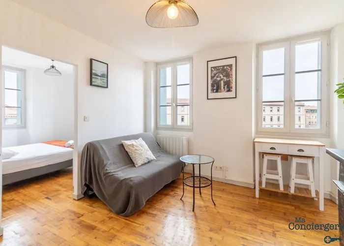 Parga 41 - 500 Metres Du Capitole - Hypercentre Tlse Daire