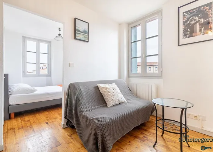 Apartament Parga 41 - 500 Metres Du Capitole - Hypercentre Tlse