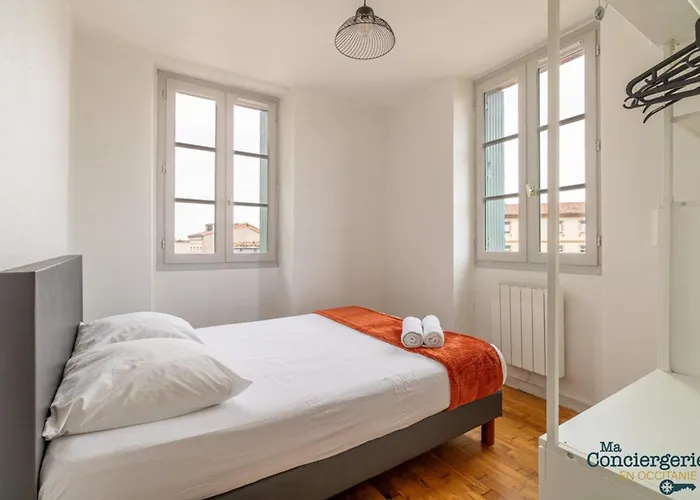 Parga 41 - 500 Metres Du Capitole - Hypercentre Tlse Toulouse