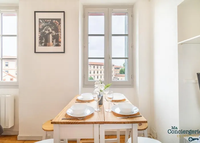 Apartament Parga 41 - 500 Metres Du Capitole - Hypercentre Tlse *