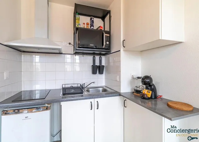 Parga 41 - 500 Mètres Du Capitole - Hypercentre Tlse