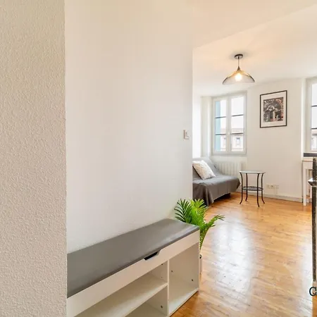 Parga 41 - 500 Metres Du Capitole - Hypercentre Tlse 公寓